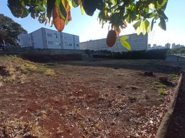 imagem 3 - Terreno Misto para Locação e Venda no Bairro City Ribeirão, em Ribeirão Preto SP imagem 3 - Terreno Misto para Locação e Venda no Bairro City Ribeirão, em Ribeirão Preto SP