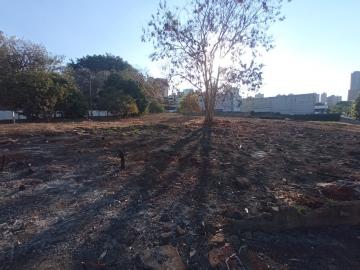 imagem 4 - Terreno Misto para Locação e Venda no Bairro City Ribeirão, em Ribeirão Preto SP imagem 4 - Terreno Misto para Locação e Venda no Bairro City Ribeirão, em Ribeirão Preto SP