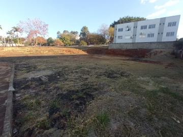 imagem 5 - Terreno Misto para Locação e Venda no Bairro City Ribeirão, em Ribeirão Preto SP imagem 5 - Terreno Misto para Locação e Venda no Bairro City Ribeirão, em Ribeirão Preto SP