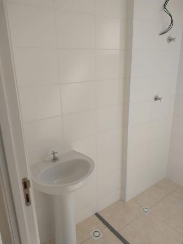 imagem 2 - Apartamentos - Padrão imagem 2 - Apartamentos - Padrão