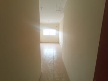 imagem 2 - Apartamentos - Padrão imagem 2 - Apartamentos - Padrão