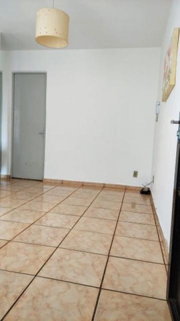 imagem 3 - Apartamentos - Padrão imagem 3 - Apartamentos - Padrão