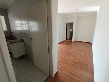 imagem 2 - Apartamentos - Padrão imagem 2 - Apartamentos - Padrão