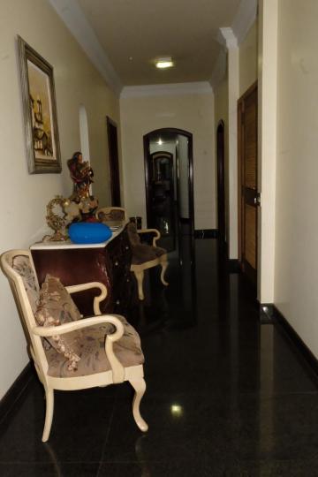 imagem 1 - Apartamentos - Padrão imagem 1 - Apartamentos - Padrão