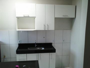 imagem 5 - Apartamentos - Padrão imagem 5 - Apartamentos - Padrão