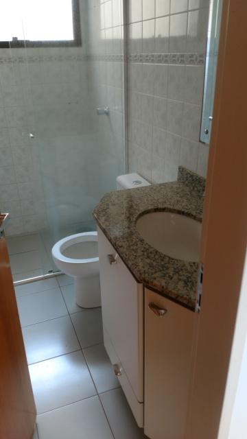 imagem 3 - Apartamentos - Padrão imagem 3 - Apartamentos - Padrão