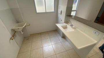 imagem 4 - Apartamentos - Padrão imagem 4 - Apartamentos - Padrão