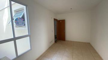 Alugar Apartamentos / Padrão em Ribeirão Preto. apenas R$ 135.000,00