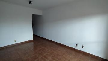 imagem 3 - Apartamentos - Padrão imagem 3 - Apartamentos - Padrão