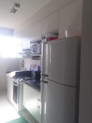 imagem 2 - Apartamentos - Padrão imagem 2 - Apartamentos - Padrão