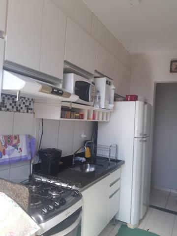 imagem 3 - Apartamentos - Padrão imagem 3 - Apartamentos - Padrão