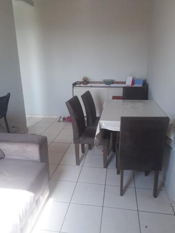 imagem 4 - Apartamentos - Padrão imagem 4 - Apartamentos - Padrão