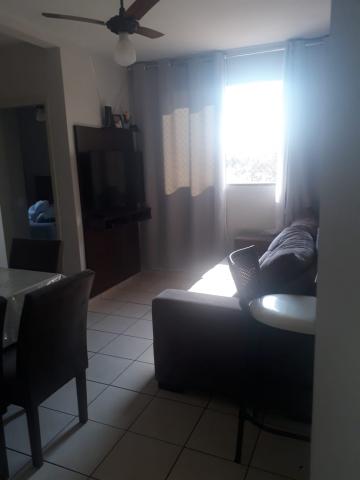 imagem 5 - Apartamentos - Padrão imagem 5 - Apartamentos - Padrão