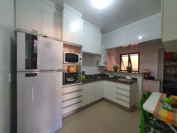 imagem 5 - Apartamentos - Padrão imagem 5 - Apartamentos - Padrão