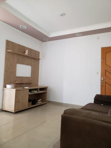 imagem 1 - Apartamentos - Padrão imagem 1 - Apartamentos - Padrão