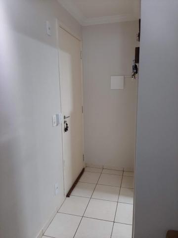 imagem 5 - Apartamentos - Padrão imagem 5 - Apartamentos - Padrão