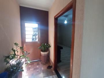 imagem 3 - Casas Residenciais - Padrão imagem 3 - Casas Residenciais - Padrão