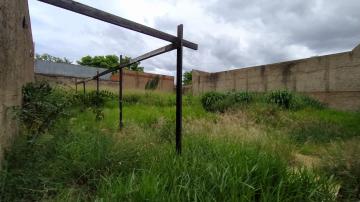 imagem 3 - Terrenos - LoteTerreno imagem 3 - Terrenos - LoteTerreno