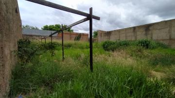 imagem 2 - Terrenos - LoteTerreno imagem 2 - Terrenos - LoteTerreno