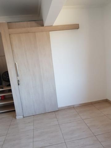 imagem 5 - Apartamentos - Padrão imagem 5 - Apartamentos - Padrão