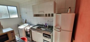 imagem 3 - Apartamentos - Padrão imagem 3 - Apartamentos - Padrão