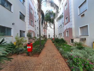 imagem 5 - Apartamentos - Padrão imagem 5 - Apartamentos - Padrão