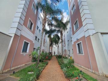imagem 4 - Apartamentos - Padrão imagem 4 - Apartamentos - Padrão