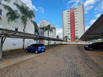 imagem 3 - Apartamentos - Padrão imagem 3 - Apartamentos - Padrão