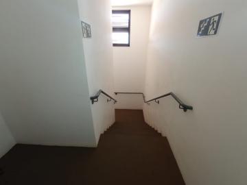 imagem 3 - Apartamentos - Padrão imagem 3 - Apartamentos - Padrão