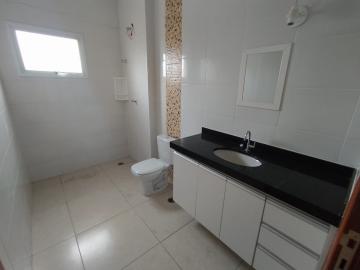imagem 5 - Apartamentos - Padrão imagem 5 - Apartamentos - Padrão