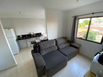 imagem 5 - Apartamentos - Padrão imagem 5 - Apartamentos - Padrão