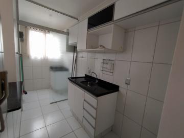 imagem 3 - Apartamentos - Padrão imagem 3 - Apartamentos - Padrão