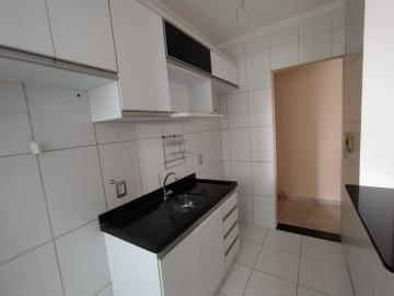 imagem 4 - Apartamentos - Padrão imagem 4 - Apartamentos - Padrão