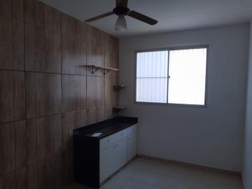 imagem 5 - Apartamentos - Padrão imagem 5 - Apartamentos - Padrão