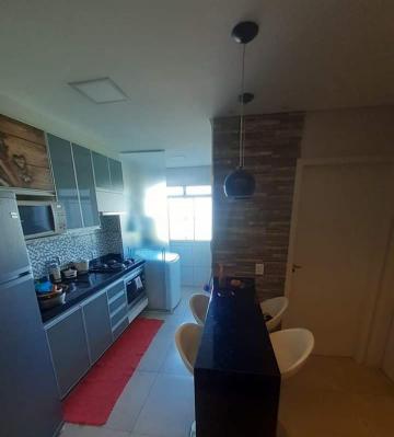 imagem 5 - Apartamentos - Padrão imagem 5 - Apartamentos - Padrão