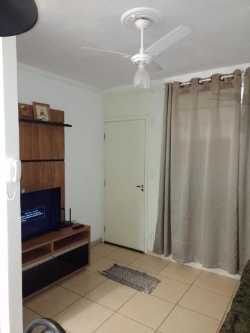 imagem 3 - Apartamentos - Padrão imagem 3 - Apartamentos - Padrão
