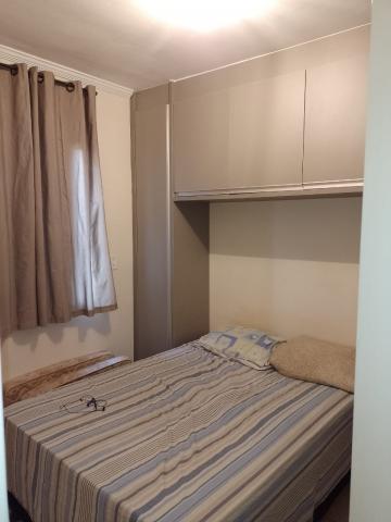 imagem 4 - Apartamentos - Padrão imagem 4 - Apartamentos - Padrão