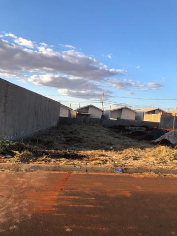 imagem 1 - Terrenos - LoteTerreno imagem 1 - Terrenos - LoteTerreno