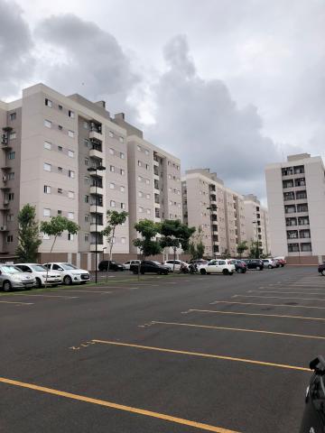 imagem 2 - Apartamentos - Padrão imagem 2 - Apartamentos - Padrão