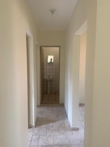 imagem 3 - Apartamentos - Padrão imagem 3 - Apartamentos - Padrão