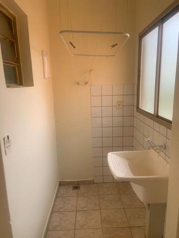 imagem 4 - Apartamentos - Padrão imagem 4 - Apartamentos - Padrão