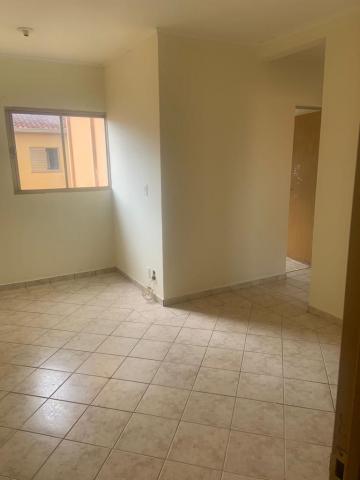 imagem 2 - Apartamentos - Padrão imagem 2 - Apartamentos - Padrão