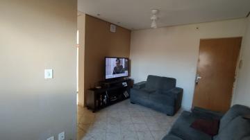 imagem 2 - Apartamentos - Padrão imagem 2 - Apartamentos - Padrão