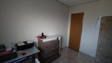 imagem 5 - Apartamentos - Padrão imagem 5 - Apartamentos - Padrão