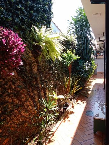 imagem 1 - Casa reformada no bairro Jardim Diva Tarlá de Carvalho imagem 1 - Casa reformada no bairro Jardim Diva Tarlá de Carvalho