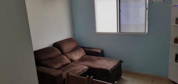 imagem 3 - Apartamentos - Padrão imagem 3 - Apartamentos - Padrão