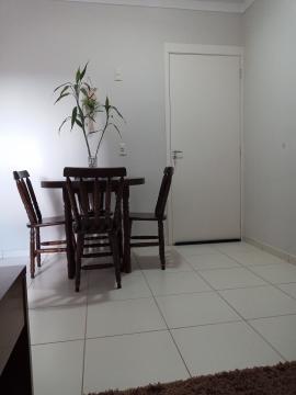 imagem 2 - Apartamentos - Padrão imagem 2 - Apartamentos - Padrão