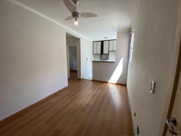 Alugar Apartamentos / Padrão em Araraquara. apenas R$ 900,00