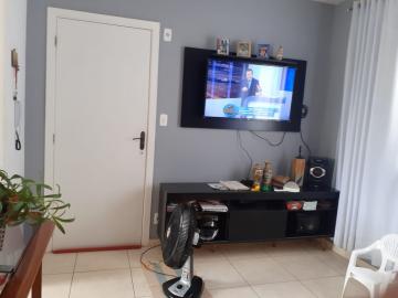 Apartamento Ótima oportunidade