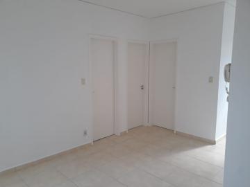 imagem 4 - Apartamentos - Padrão imagem 4 - Apartamentos - Padrão